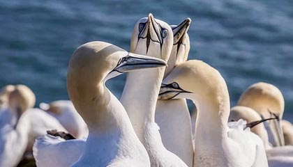 MK手机客户端-蝶泳50米划频冠军仅用24次，蝶泳50米记录