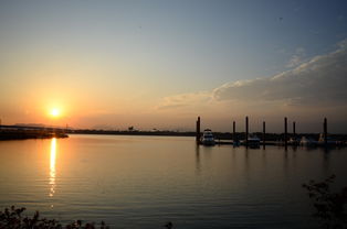 MK手机客户端-千帆竞发，轻艇马拉松点亮湖滨赛场，赛艇马拉松多少公里